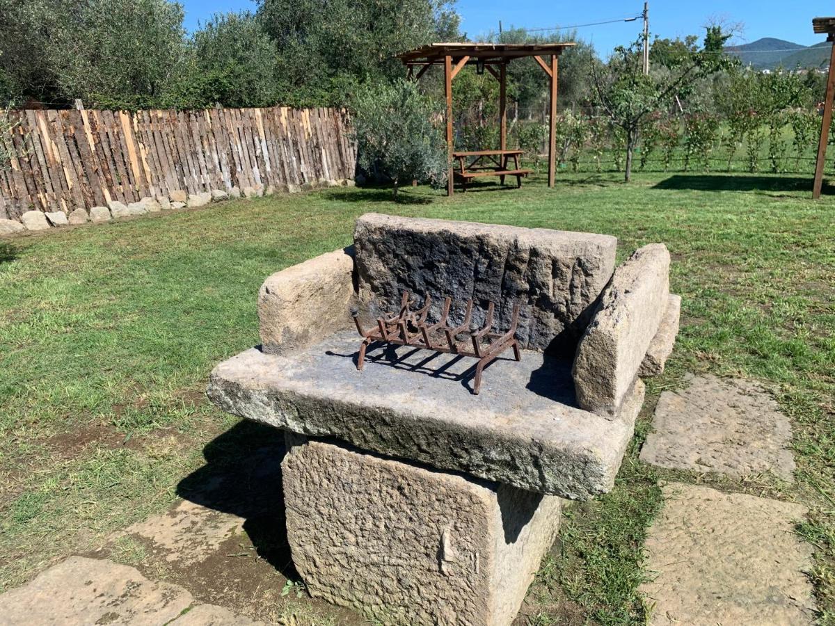L'acero Di Stall